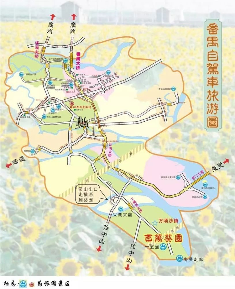 广州周末出游,我选择南沙百万葵园!