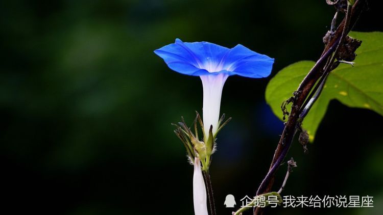 10月30号起 运势大吉 桃花暴增 财富滚滚进家门的3属相 腾讯新闻