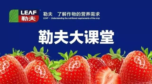 画虎画皮难画骨 揭秘假肥料包装袋上 化学式 字母 的秘密 包装袋 肥料 复合肥 有机肥 尿素