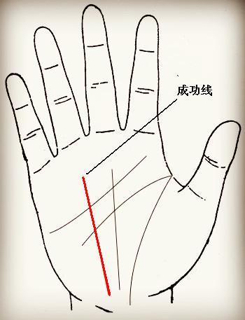 手相成功线的详细解读 腾讯新闻