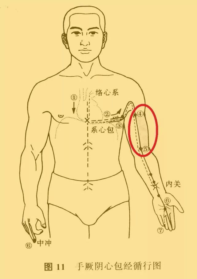 皱纹者有不同程度的心脏冠状动脉堵塞),注意找一下这个位置有没有痛点