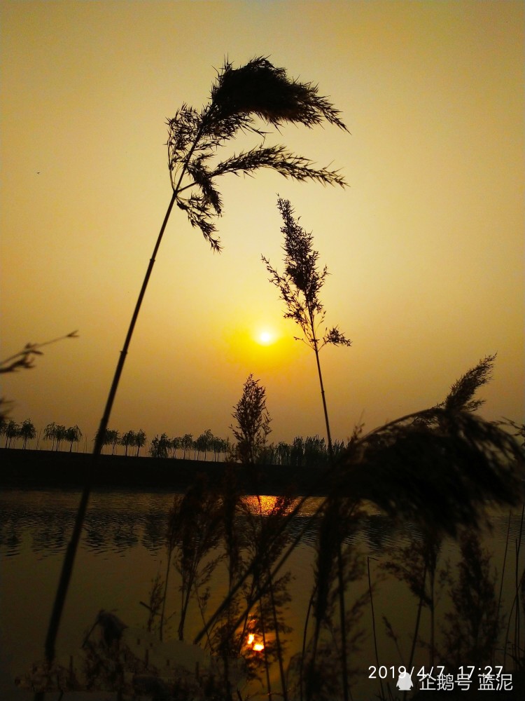 一扬|补苗（外二首