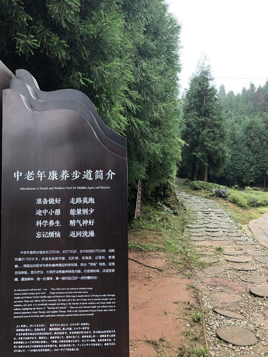 洪雅县玉屏山景区内的森林步道.