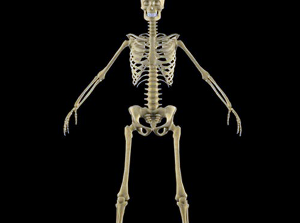 人体左右部分是完全对称的吗?看完让你怀疑人生