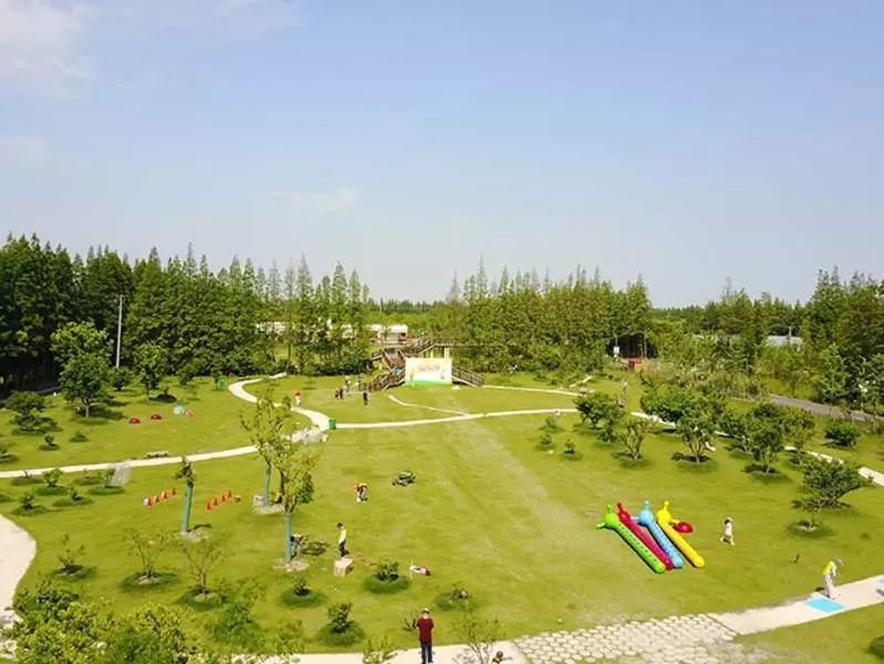 全部免费上海7大郊野公园承包了魔都最嗲的秋天