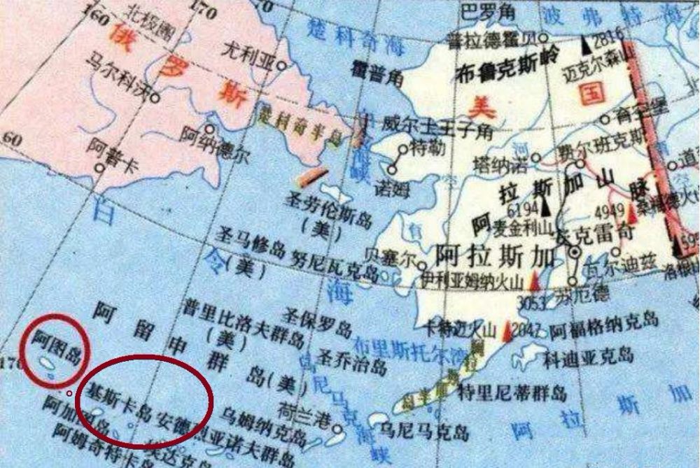 日本唯一零伤亡作战:岛上只留了三条狗,美军登陆却损失了300人_腾讯