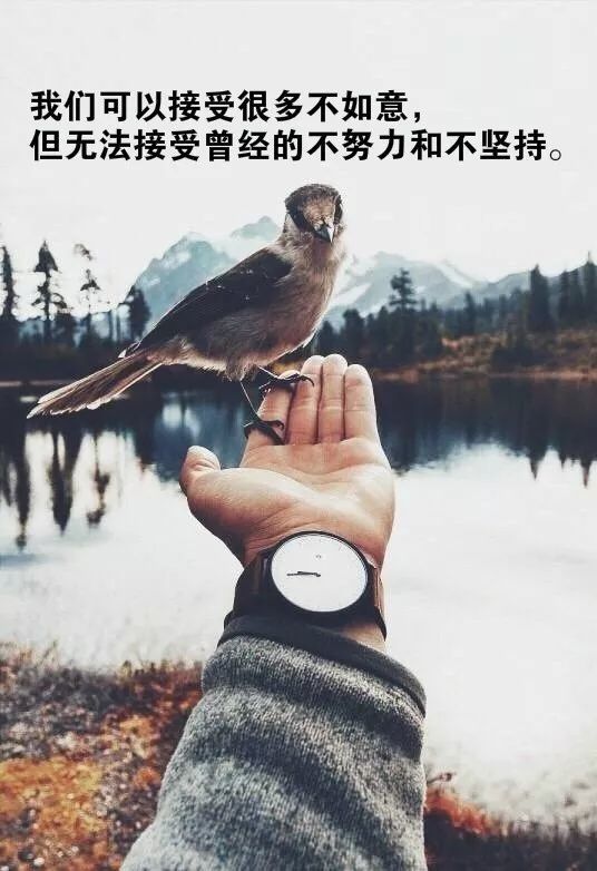 不要让别人告诉你你不能做什么