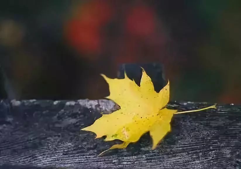 天微涼你是我牽掛的遠方