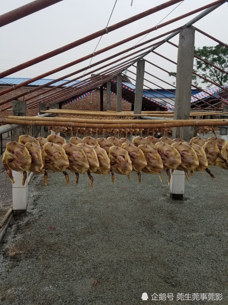 虎门白沙油鸭,东莞特产三宝之一,其制作技艺属于省非物质文化遗产