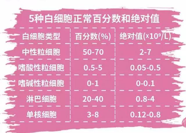 血常规感染分析 白细胞 Wbc C反应蛋白 Crp 血清淀粉样蛋白a Saa 哔哩哔哩