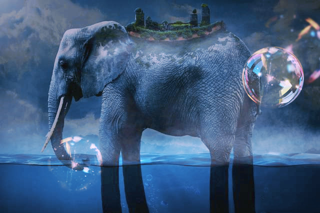 腿长就已经达到了前所未有的空岛高度,登上象岛好像又多了一种方式呢!