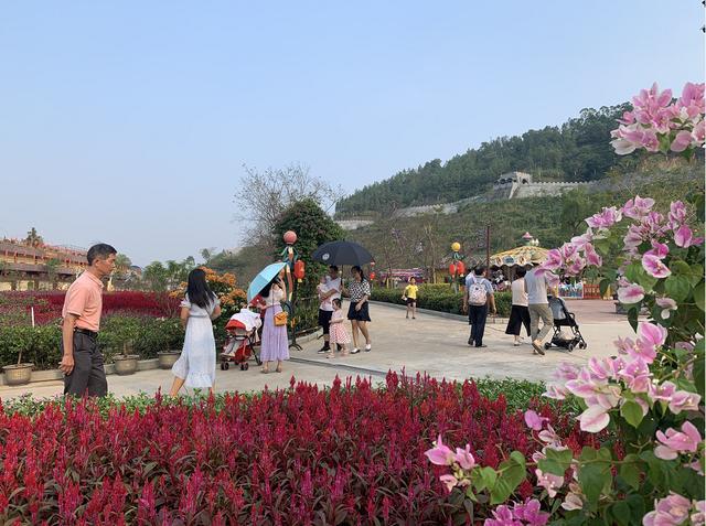 以旅游促进乡村振兴,恩平因花海欢乐世界更美丽