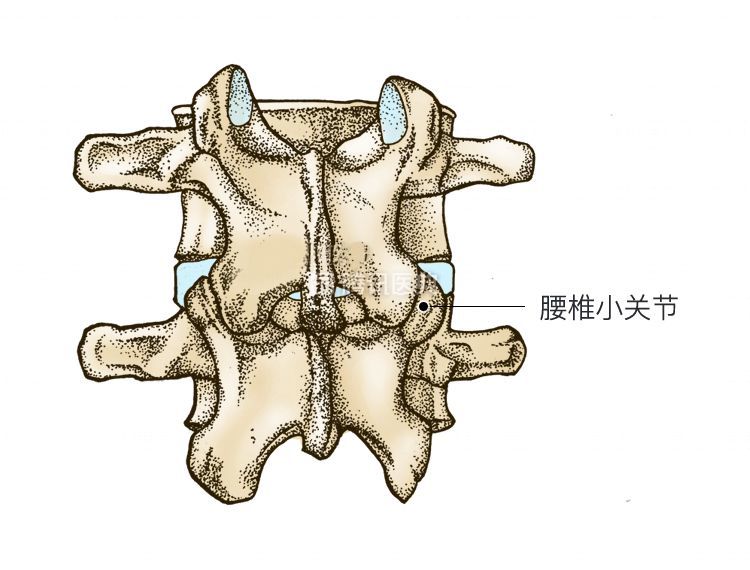 34岁男子腰痛去按摩被120紧急送医院医生身上这个部位不能随便按