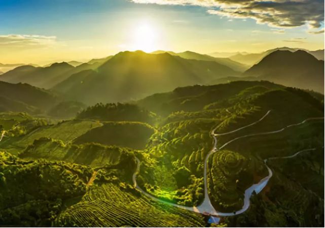 安溪现代农业产业园:一条迈向"绿色崛起"的新路子