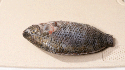 削铁如泥!这把家用"屠龙刀",上手就用出3000元质感!