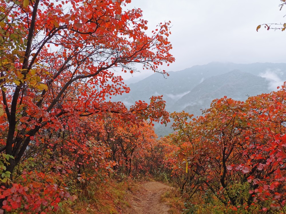 天上一轮月 圭峰十二圆 一一美丽的秦岭圭峰山 腾讯新闻