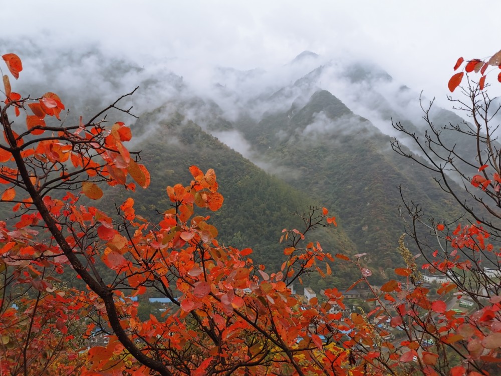 天上一轮月 圭峰十二圆 一一美丽的秦岭圭峰山 腾讯新闻