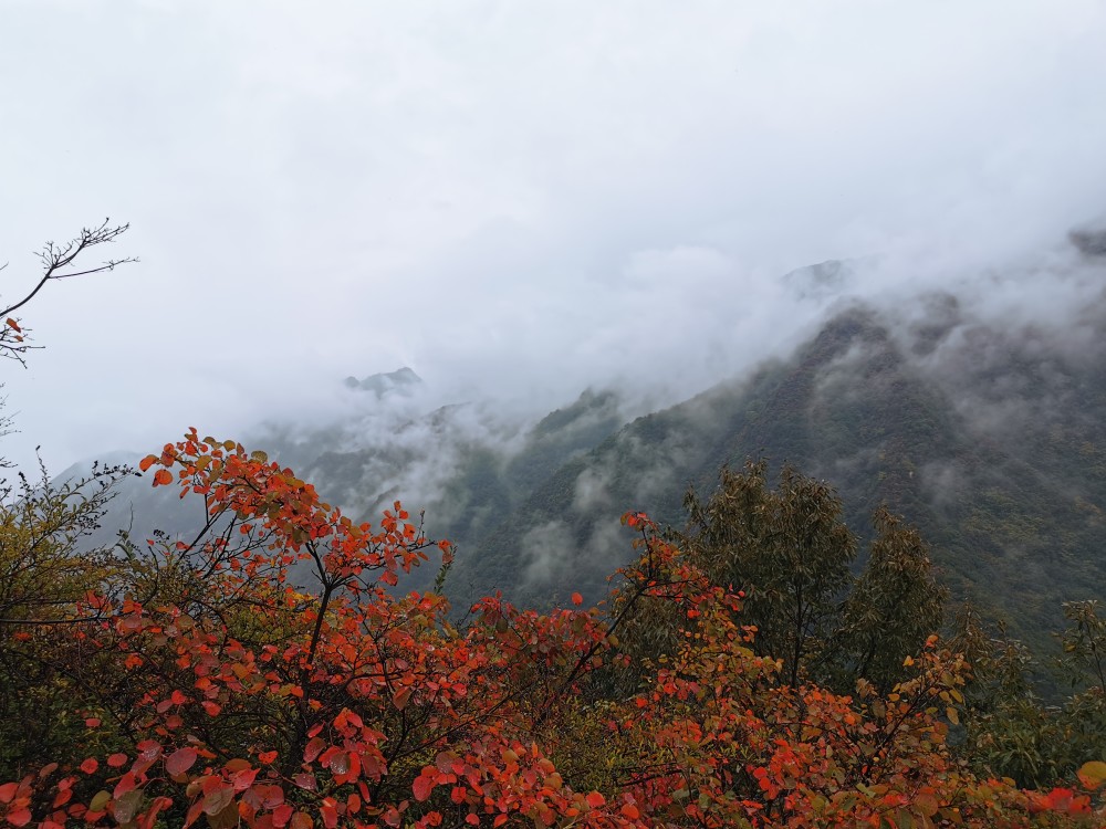 天上一轮月 圭峰十二圆 一一美丽的秦岭圭峰山 腾讯新闻