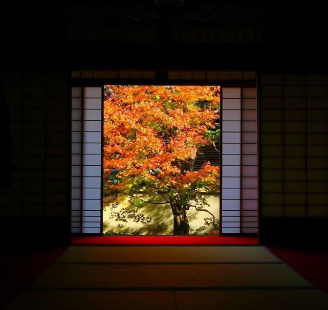 腾讯内容开放平台