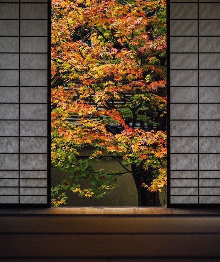 一份来自古都的赤色限定 腾讯新闻