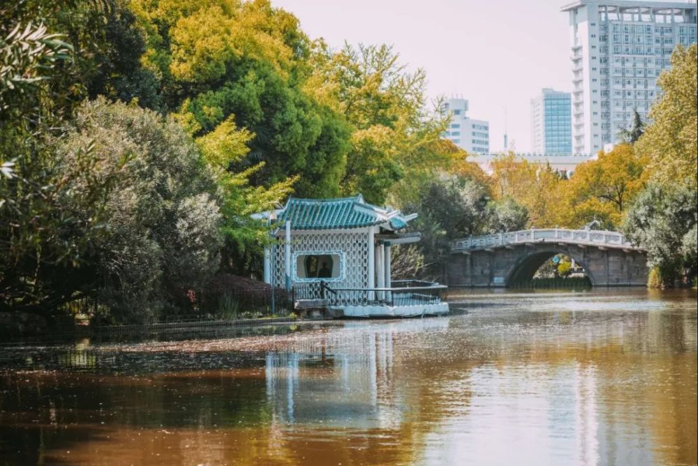 苏州|一入深秋，中国就穿越了几千年