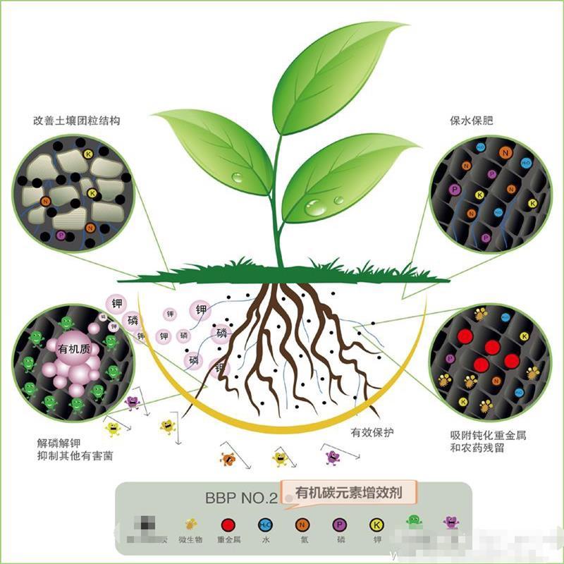 土壤和土壤学报哪个好_土壤活化原理_土壤活化宝