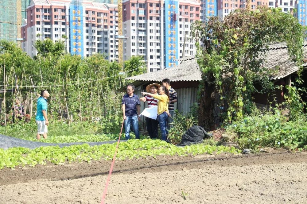 董邦村召集村民查看公共服务收储c地块项目红线图,走现场.