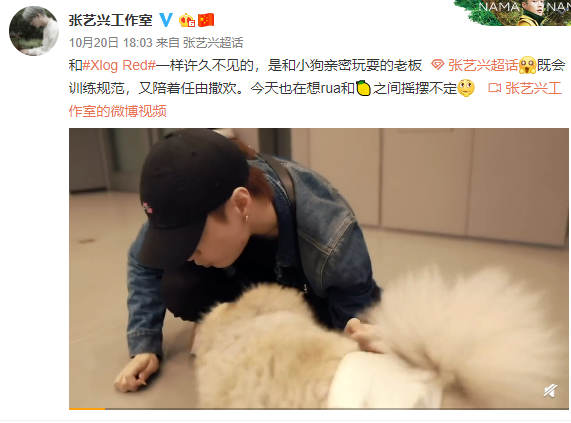 张艺兴倒立训狗
