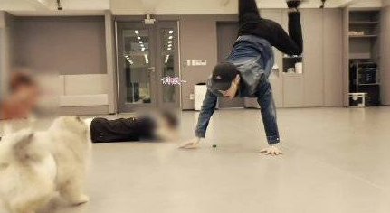 张艺兴倒立训狗