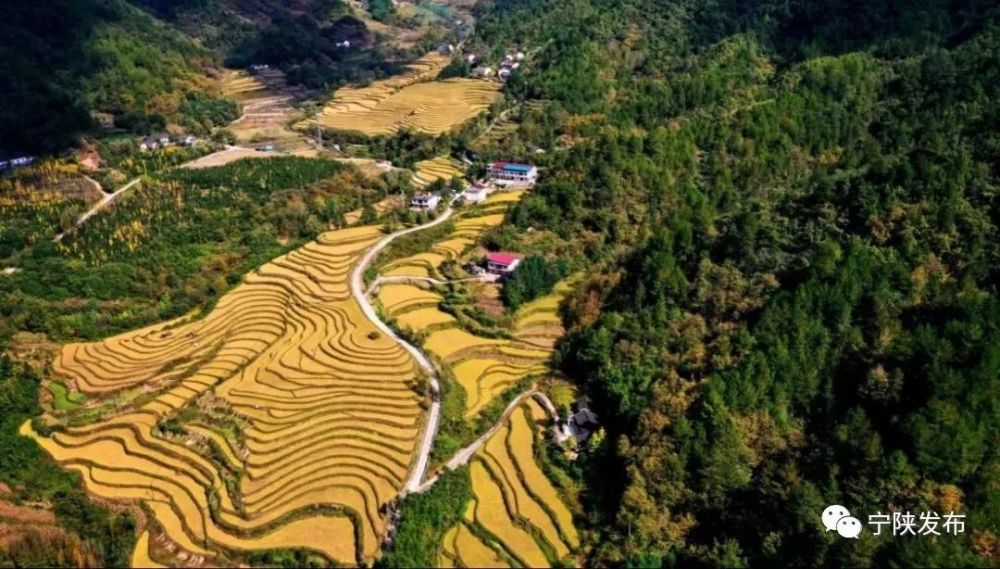 10月18日无人机拍摄的陕西宁陕县城关镇寨沟村的稻田.