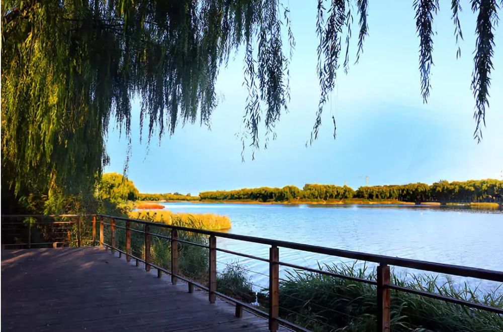 海淀区|海淀发布“水清岸绿”行动计划！5年新增千顷水面