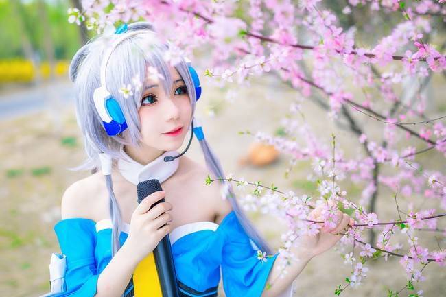 洛天依公式服cos正片 cn:花柒