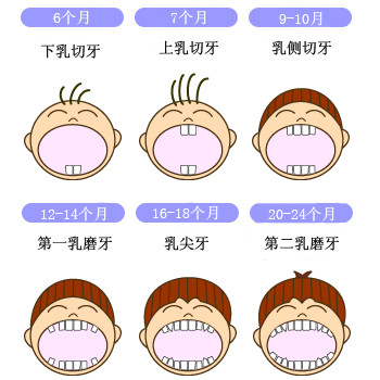 寶寶的牙齒生長順序圖寶寶長牙順序圖片