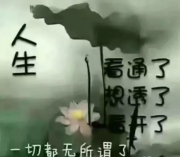 看透了想透了看开了