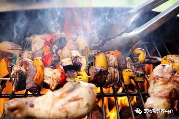 胖狗狗闯入bbq聚餐讨肉肉 却不知道早已被主人出卖 哈哈 腾讯新闻