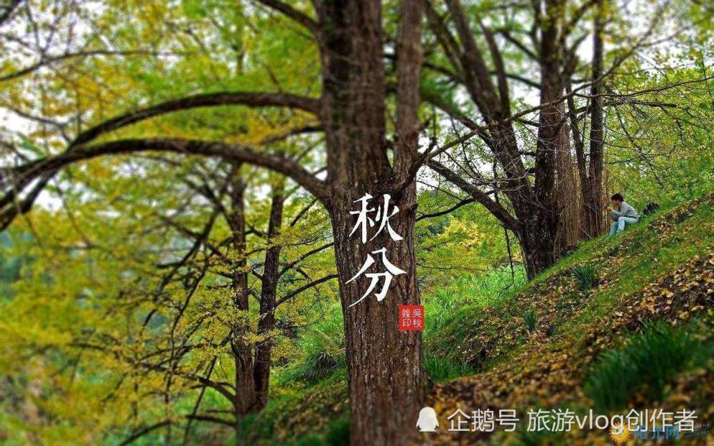 现代人使用二十四节气的正确姿势 | 秋分&寒露篇