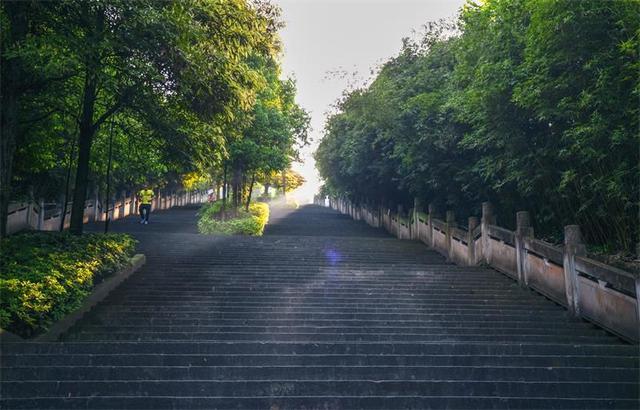 白市驿登山步道森林公园_腾讯新闻