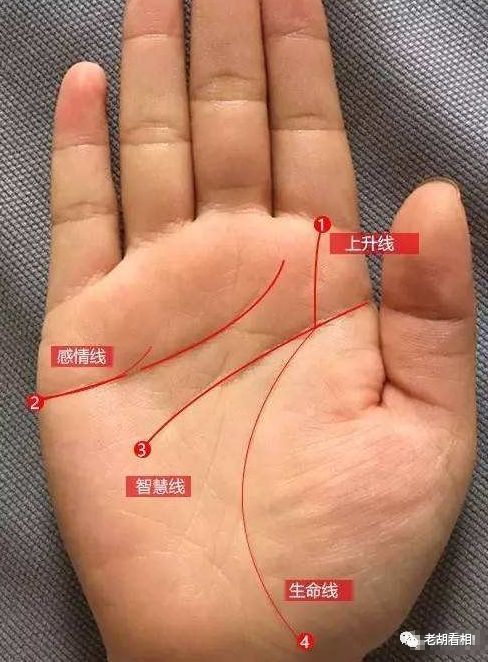 生命线怎么看 从生命线弧度看性格命运 腾讯新闻