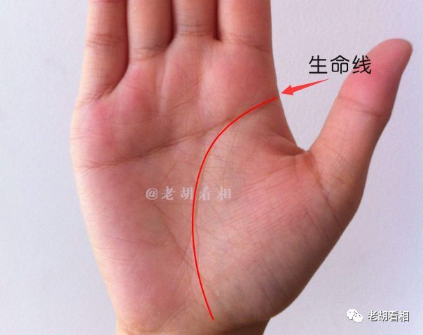 生命线怎么看 从生命线弧度看性格命运 腾讯新闻
