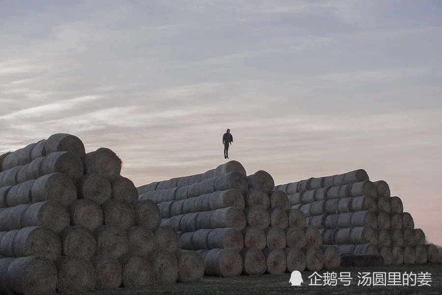 在最不該消極的日子裡孤獨與沉思反倒是一種奢望