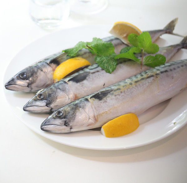 正当时令的青花鱼 是肥美无骨的海洋鲜物 腾讯新闻