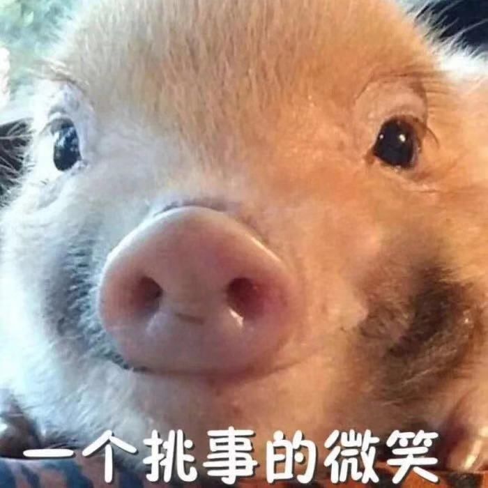 天天快报