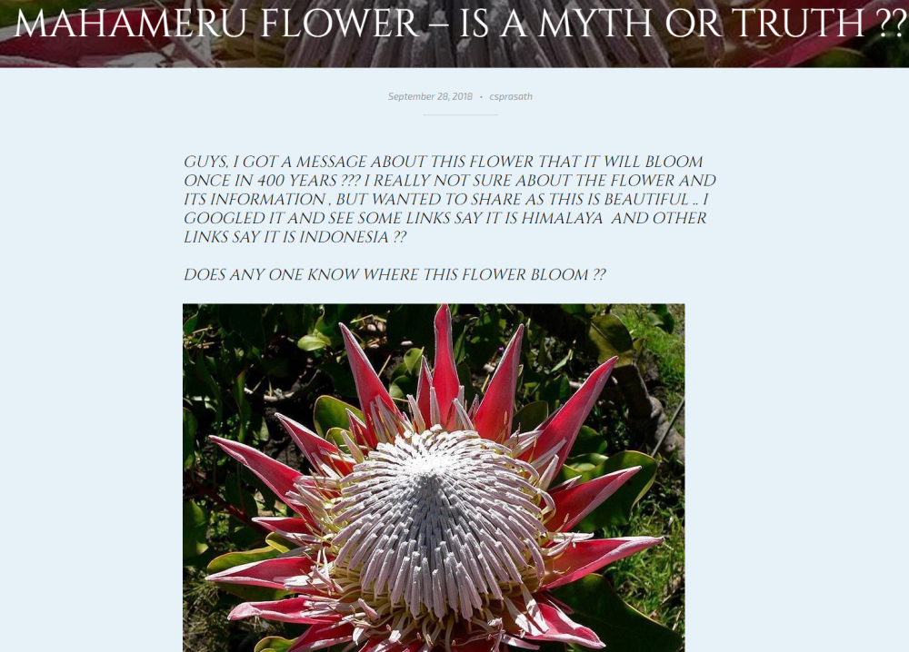 400年才在喜马拉雅山开一次的花长这样 No 它其实来自这一种植物 腾讯新闻