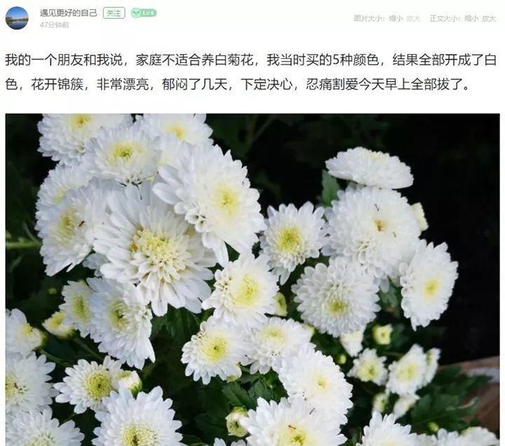 好不容易养开花 邻居却说不吉利 只好全拔光 腾讯新闻