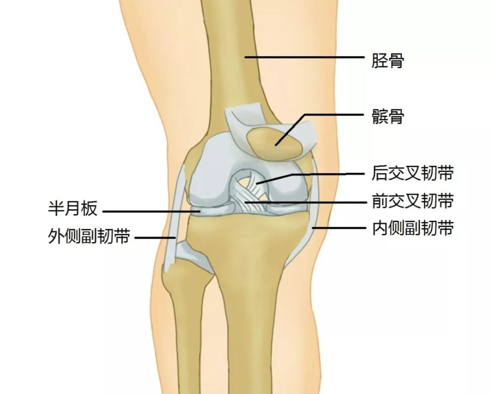 半月板损伤后要不要手术 腾讯新闻