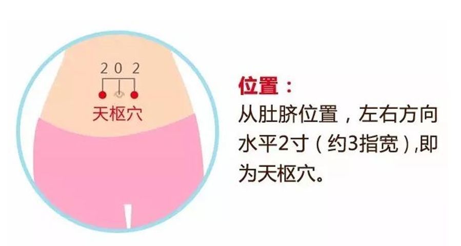 天枢穴