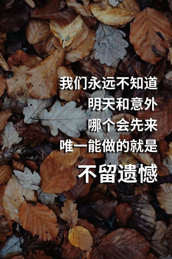 2020张家口神兽上学图鉴