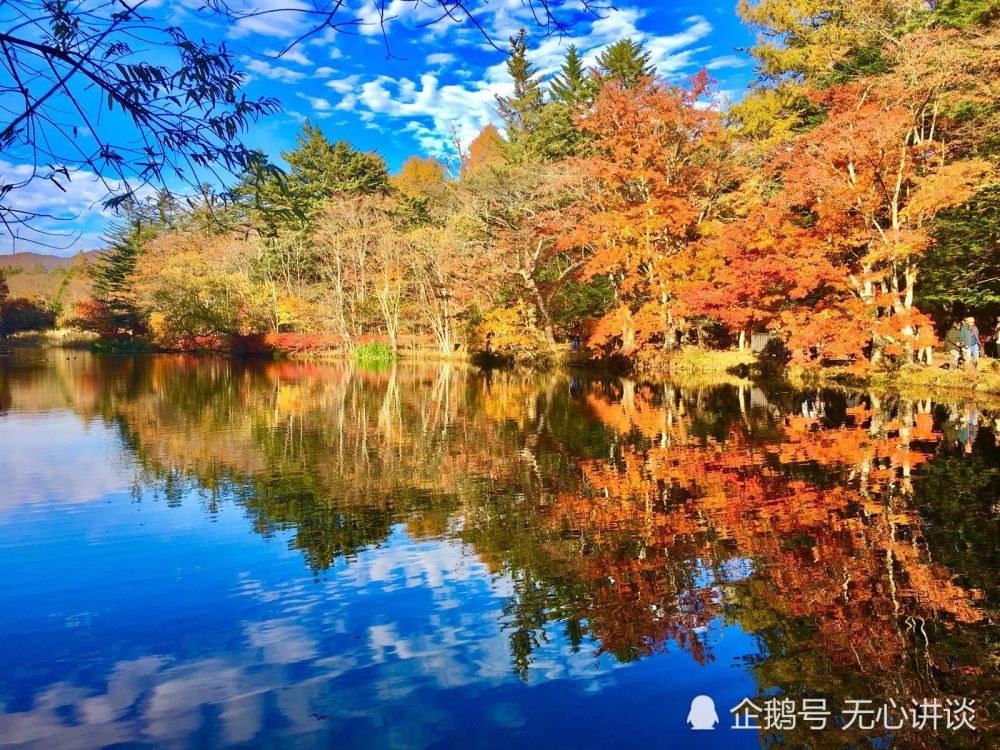 自驾游 东京出发当日往返 盘点日本秋季赏红叶十大绝佳去处 腾讯新闻