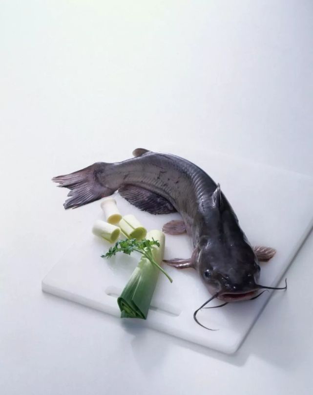 脏水养殖吃粪便鲶鱼真这么脏真相来了