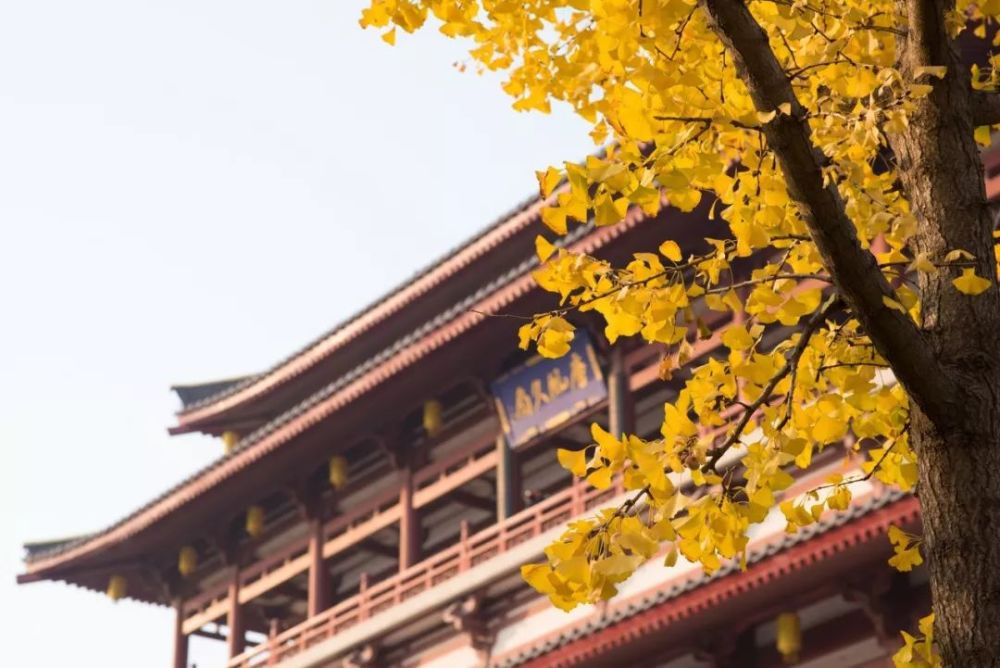 苏州|一入深秋，中国就穿越了几千年